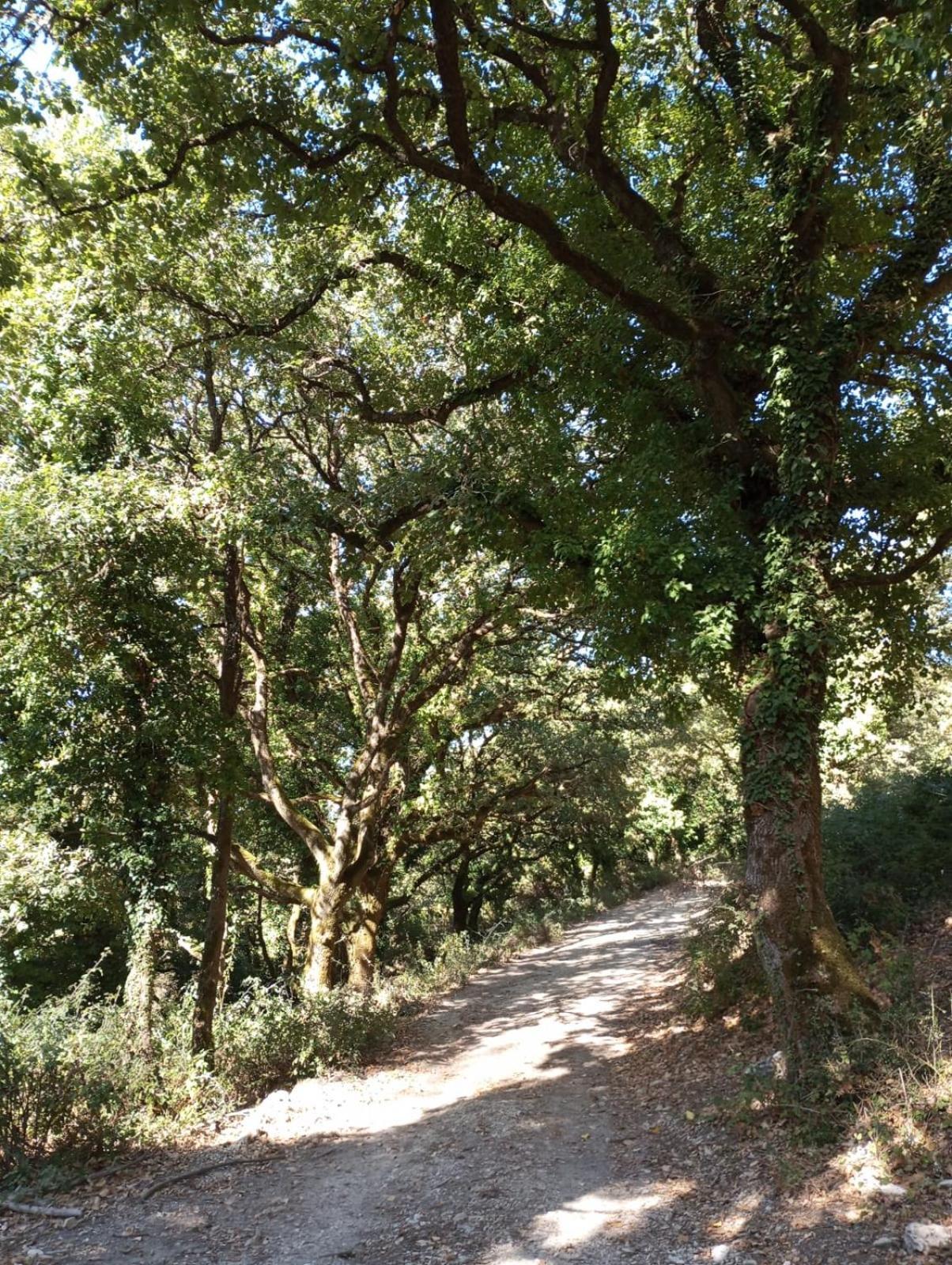 La Casa Di Enza Leilighet Santa Margherita di Belice Eksteriør bilde